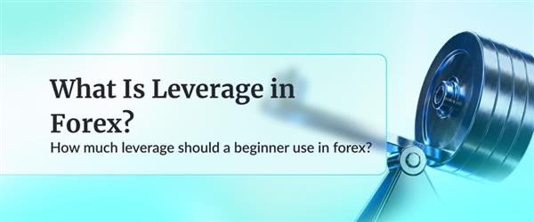 Đòn bẩy (Leverage) trong Forex là gì? – CPT Markets